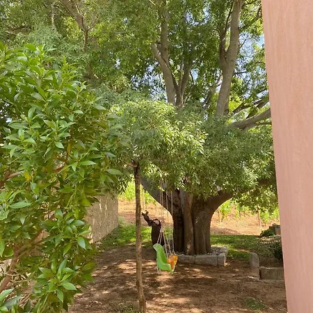 דירה Monte Astili