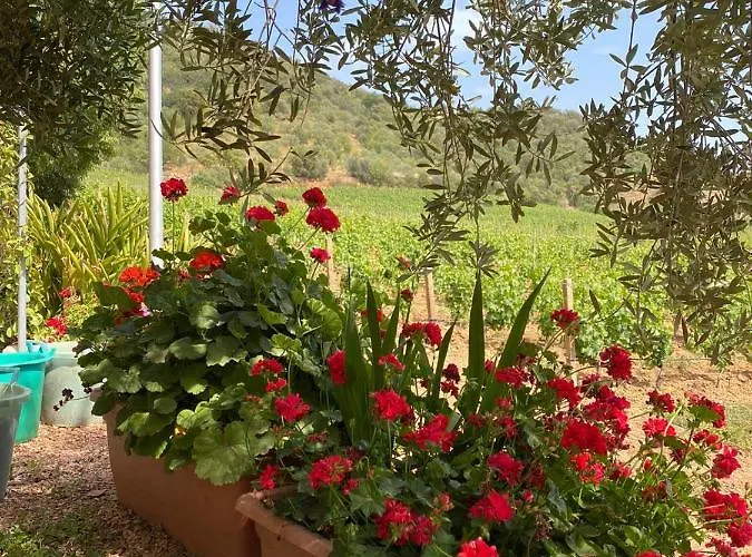 Apartamento Monte Astili Lanusei