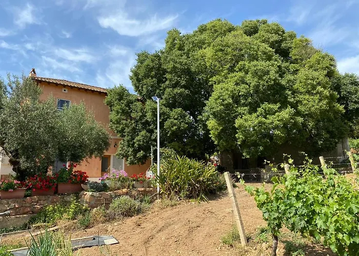 Monte Astili Lanusei