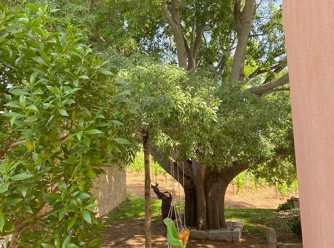 Appartamento Monte Astili