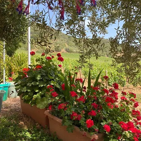 Apartamento Monte Astili Lanusei