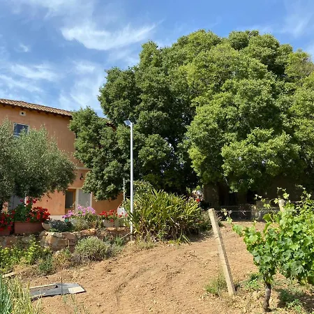 Monte Astili Lanusei