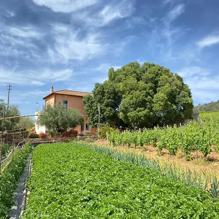 Apartamento Monte Astili