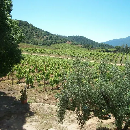 Apartment Monte Astili *