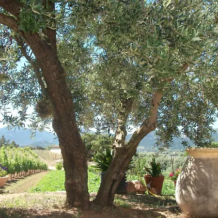 Monte Astili *